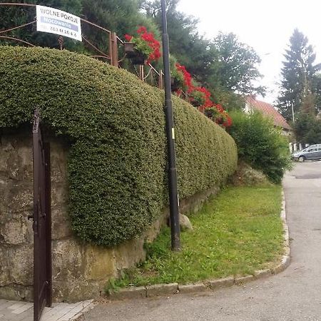 Noclegi U Andrzeja Дужники Здрой Екстериор снимка