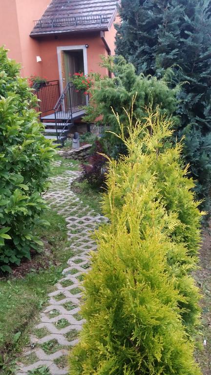 Noclegi U Andrzeja Дужники Здрой Екстериор снимка